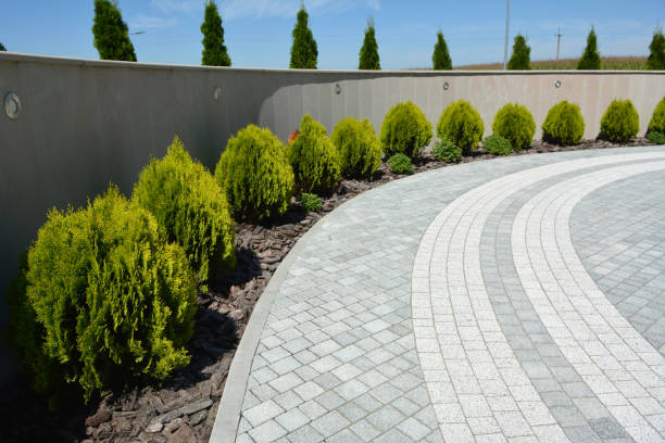 Best Custom Driveway Pavers  in Russellville, AR